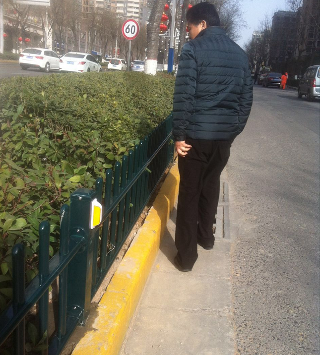 绿化带隔离护栏 绿化带隔离护栏