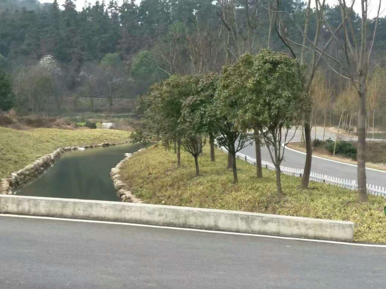 锌钢护栏 锌钢护栏